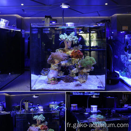 2022 NOUVEAU produit Lumière élégante d&#39;aquarium LED Coral LED